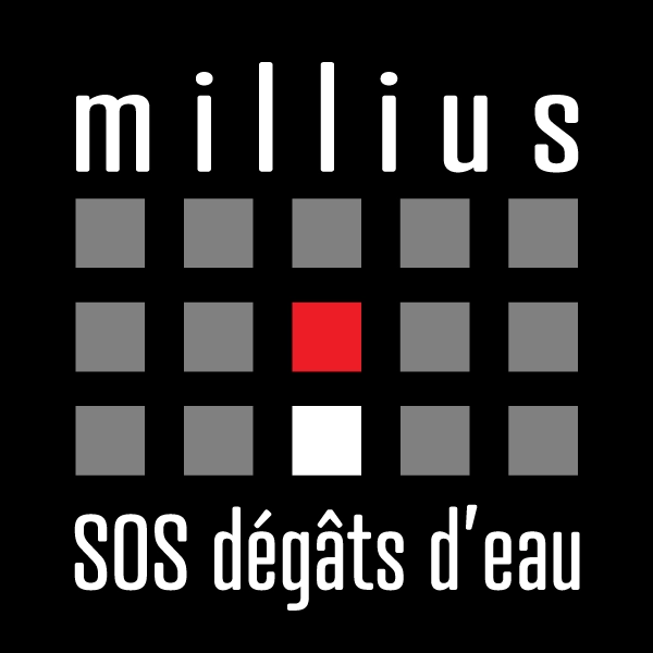 Service d'urgence SOS dégât d'eau en Valais par Millius Groupe